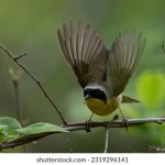 我不是个好儿子 723up8me