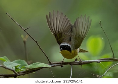 我不是个好儿子 我不是个好儿子