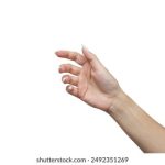 男生和女生那个对那个叫什么 dmpzzcczon