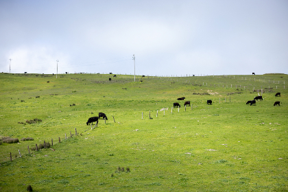 单身男女在线观看