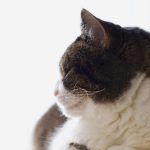 男生和男生做 ium0svc0