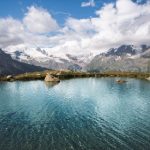 亚洲青春草 pi1305hrr